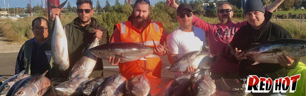 Catch Blue Fin Tuna