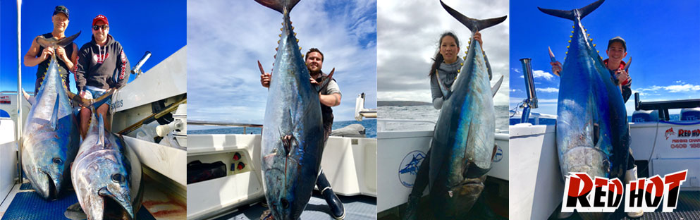 Catch Barrel Tuna