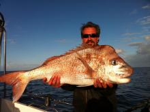 Snapper