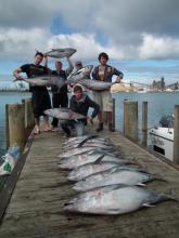 Blue fin Tuna