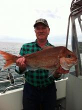 Snapper