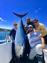 Blue fin Tuna