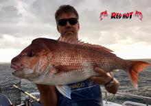 Snapper