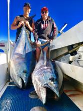 Blue fin Tuna