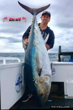 Blue fin Tuna