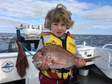 Snapper