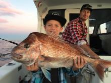 Snapper