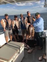 Snapper