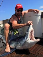 Mako Shark