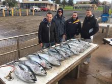 Tuna